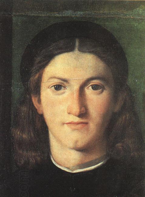 LOTTO, Lorenzo Head of a Young Man g oil painting picture